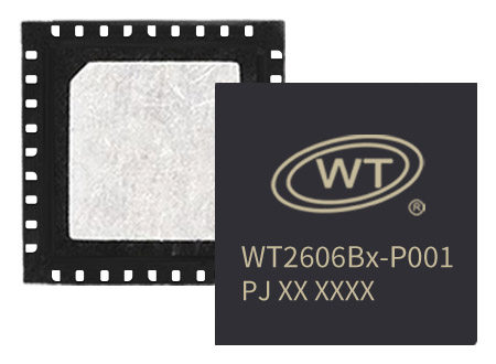WT2606Bx-P001