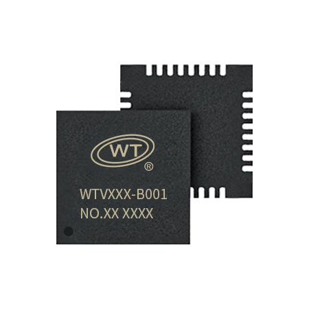 450X450-WTVXXX-B001-32N