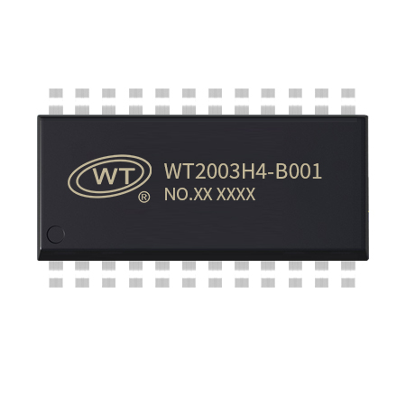 450X450-WT2003H4-B001-24SS