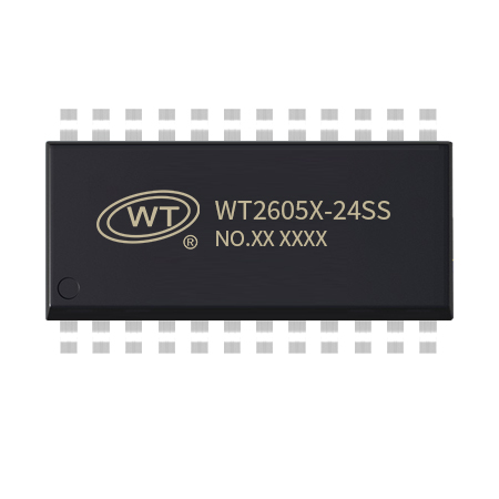 450X450-WT2605X-24SS